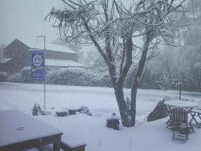 Forest Lodge Methven Exterior foto