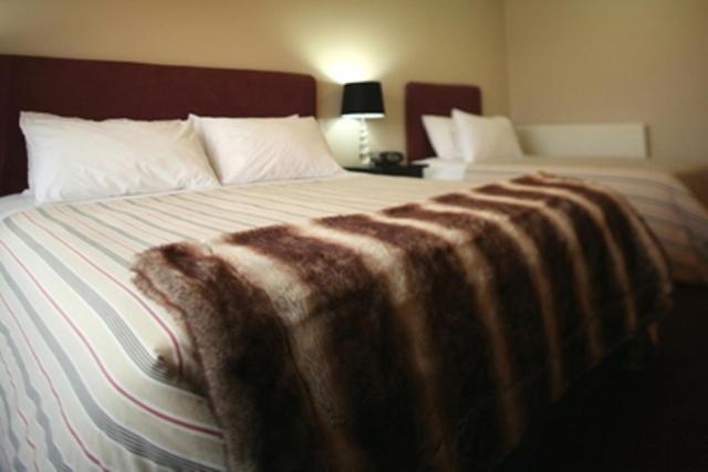 Forest Lodge Methven Cameră foto